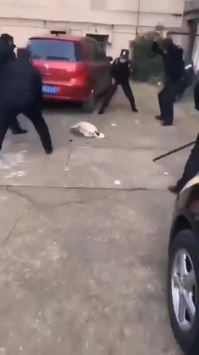 几个中国警<wbr>察用棍打死<wbr>狗