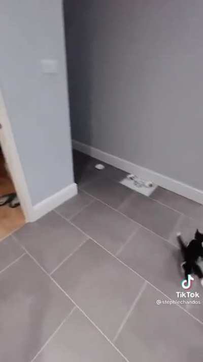 I AM SPEED