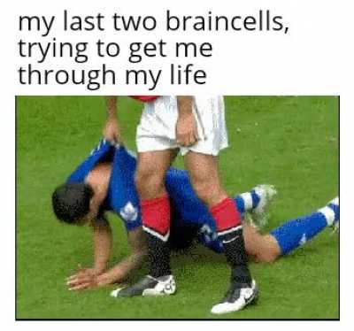 Every morning again