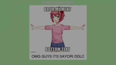 Si lo puse como referencia gamer