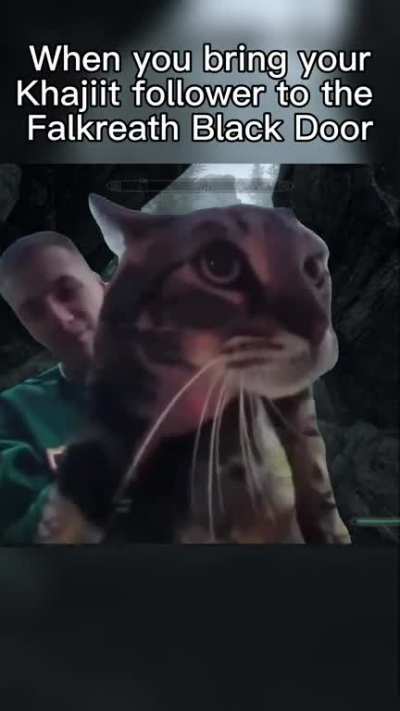 Meme