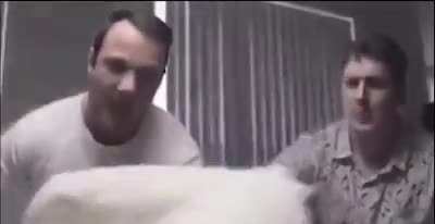 Extreme pillow fight