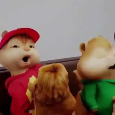 alvin!!?!!!!!??😠😠😠😡😡😡🤬🤬🤬