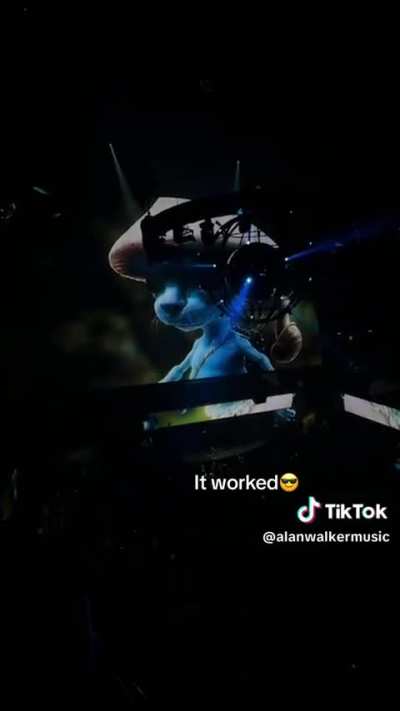 meu mano Alan Walker sabo fazer propaganda