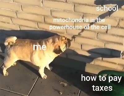 No thanks
