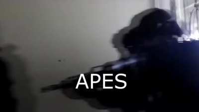 Ryan Cohen and his gang on the AGM 6/9 - Voting Results (TURN VOLUME DOWN)
