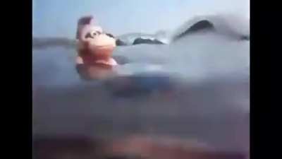 Donkey Kong: episodio final