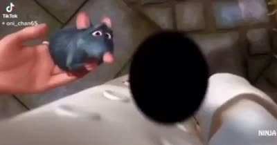 Curse<wbr>d_🐀💀