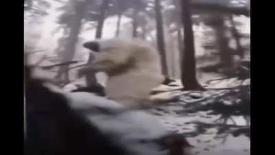 Average day in Canada.