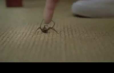 RULE OF NATURE!
