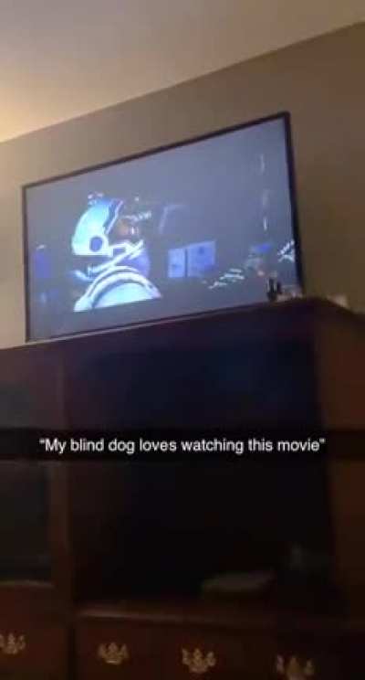 🍿🍿