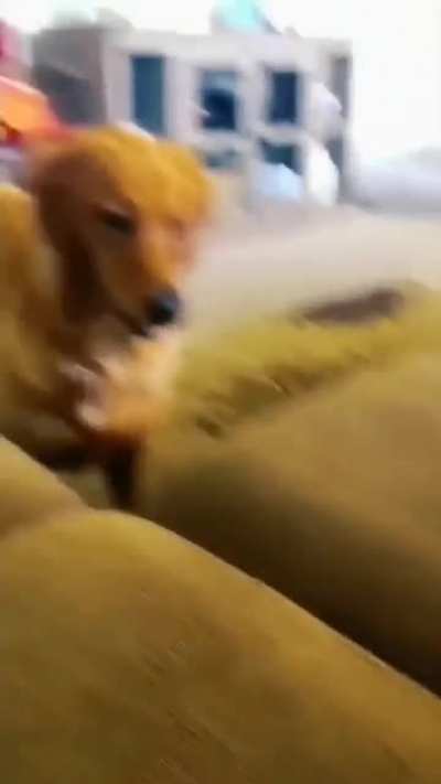 🤣🤣