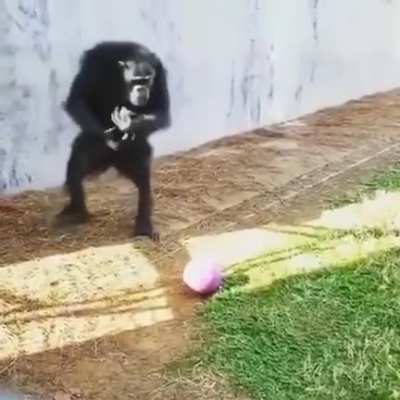 O chute perfeito