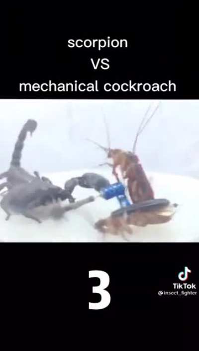 Battlebots 2077