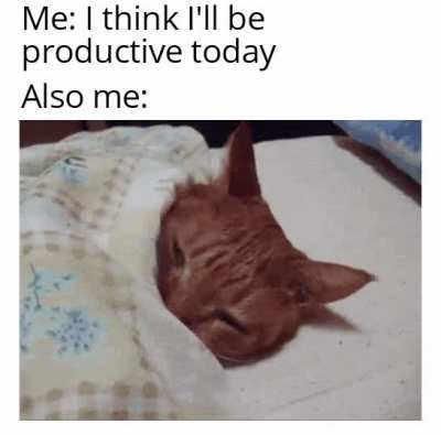 I think I'll keep sleeping