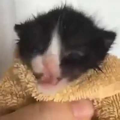:D