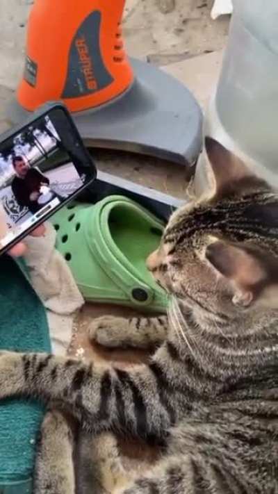This producer is enjoying a partner work
