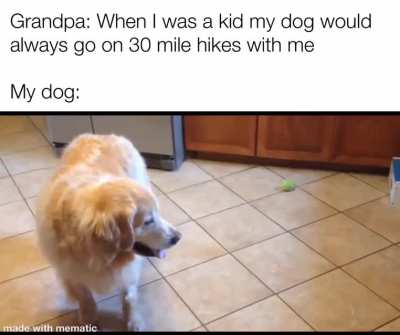 He’s a good boi