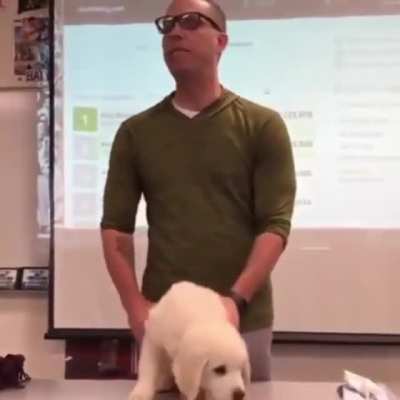 Buck no