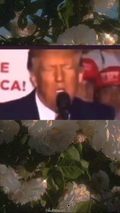 TEQUILA! 