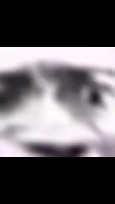 Doctor: 