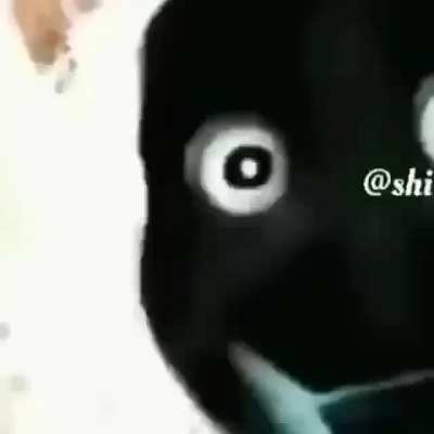 beyler beni cekmisler nasılım