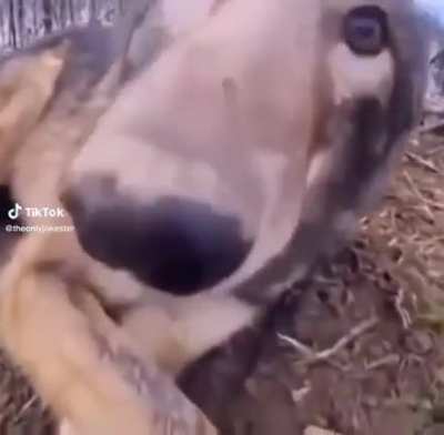 .-.