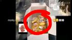Why are monkeys stealing food!?!?!?