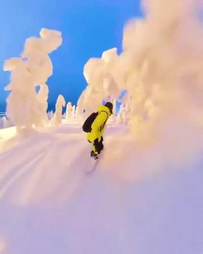 Off-piste snowboarding in this winter wonderland