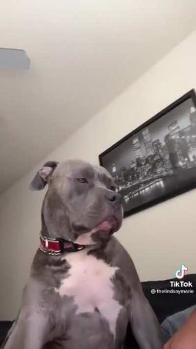 Staring while you sleep
