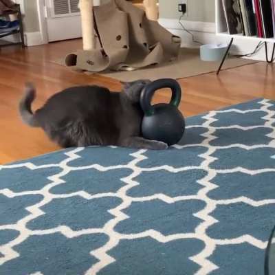 «I know I can move it.»