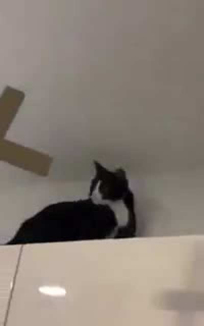 Begone 3 AM demon!
