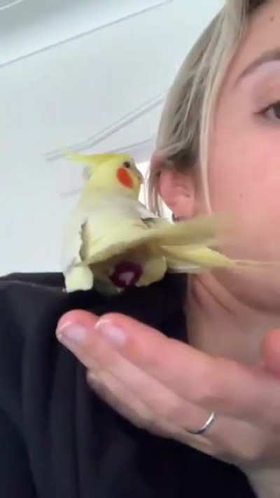 Ооо дааа! Ахрен<wbr>енное гнездо!