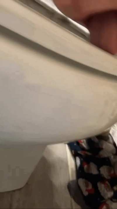 A good toilet whore