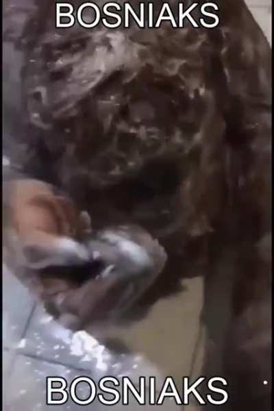 hairy creatures
