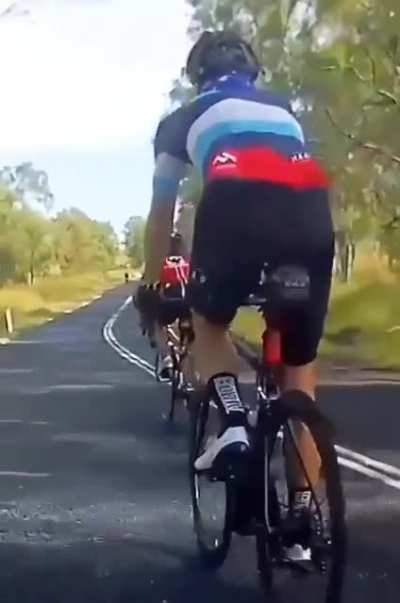 Kangaroo attack
