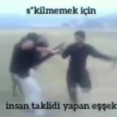 abo