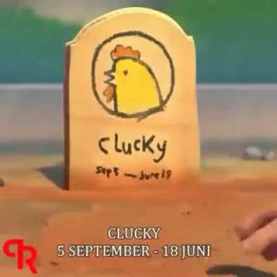 Wait what
