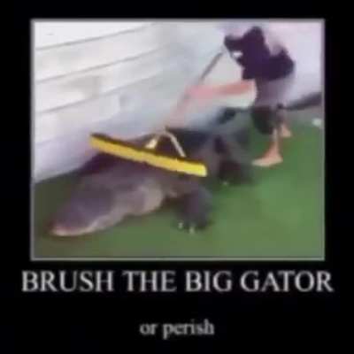 rule