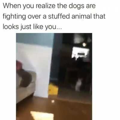 ‍‍︎