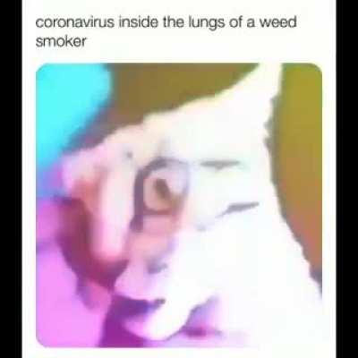 me irl
