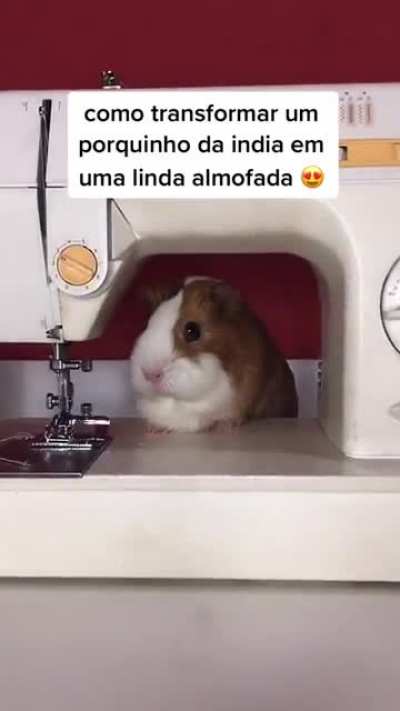 ?