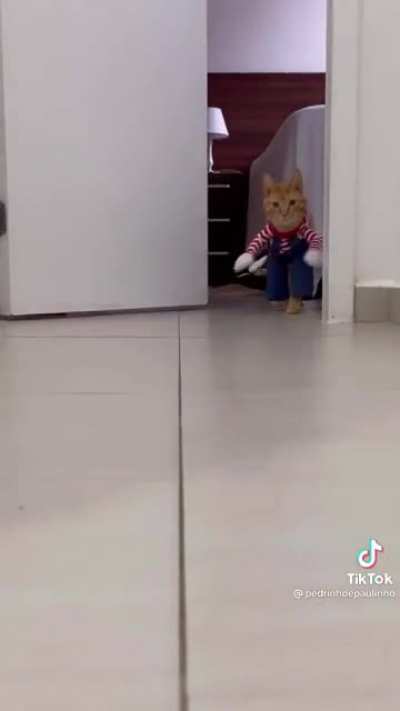 Why are you running!