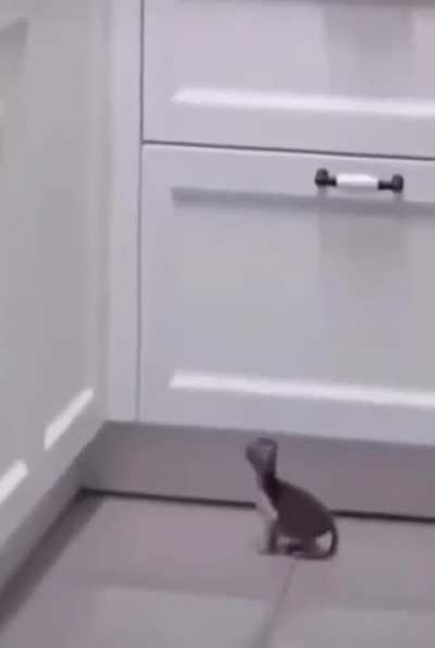Too eepy