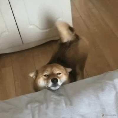 Odododododo