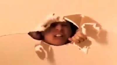3921