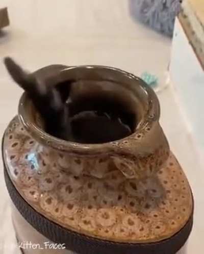 Magic kitty