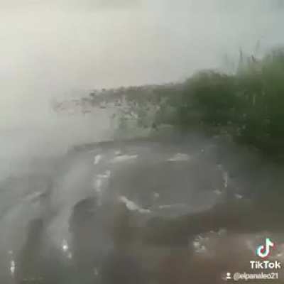 Let's play in the river