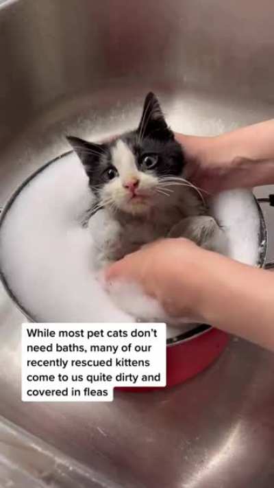 Bathing Julio