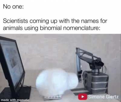 C a n i s L u p i s